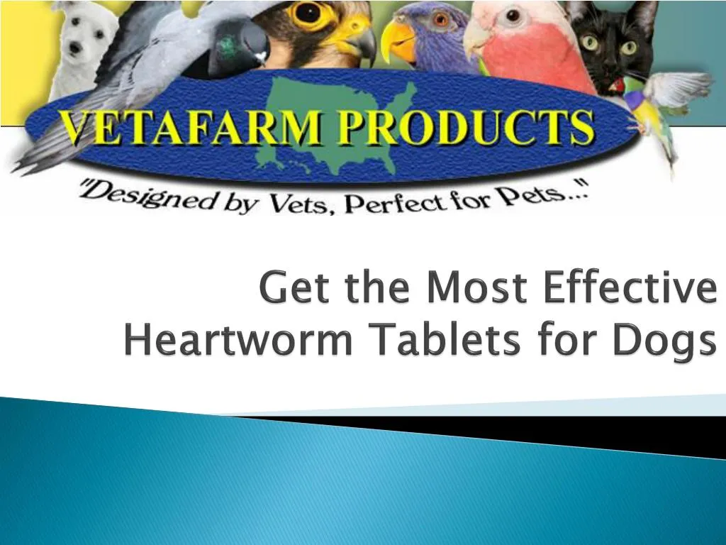 PPT Get the Most Effective Heartworm Tablets for Dogs PowerPoint