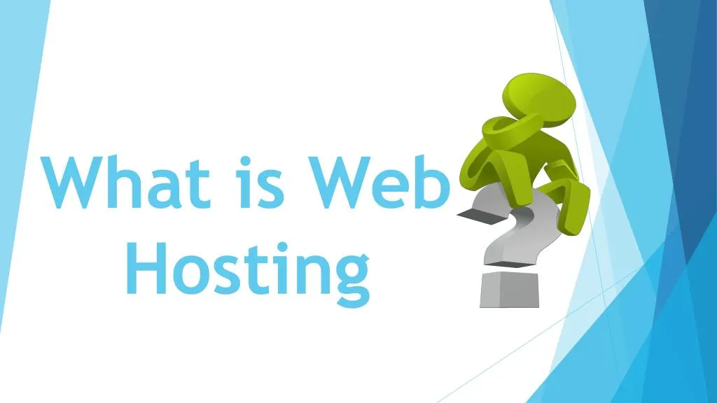 what is web hosting n.