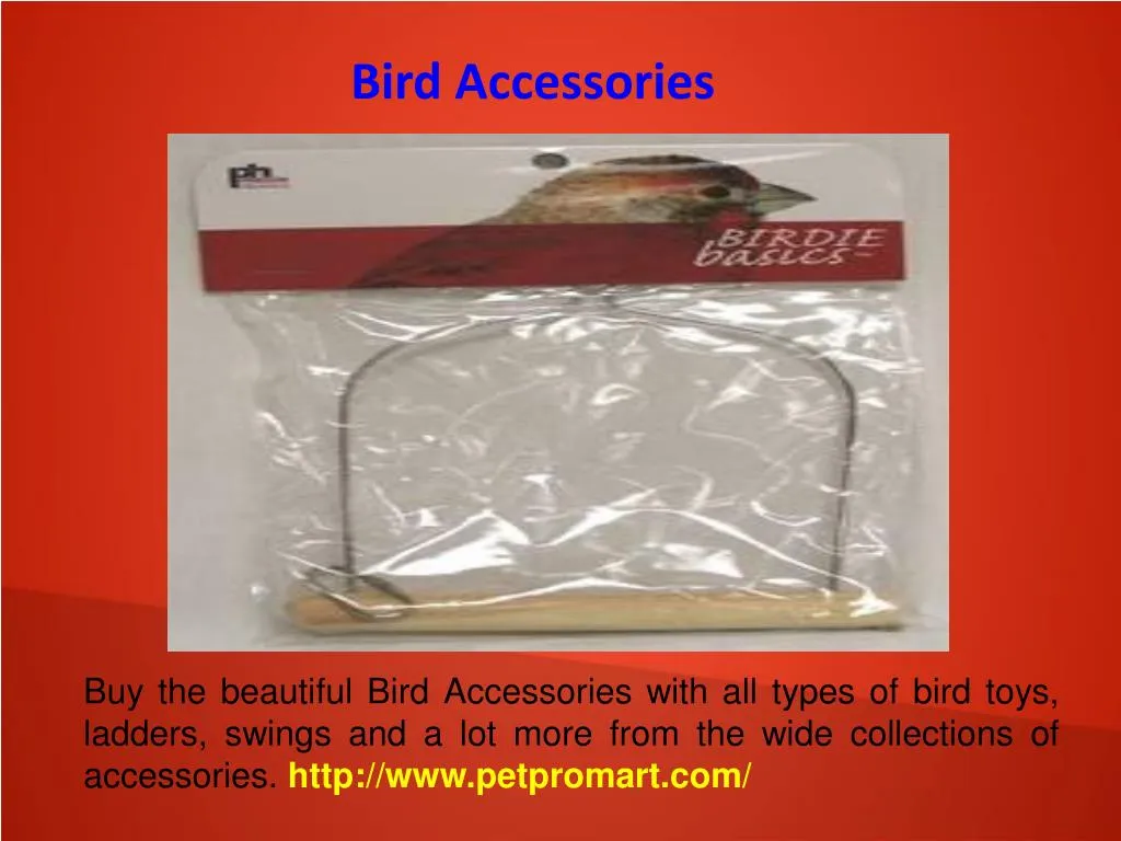 PPT Fish Supplies Online PowerPoint Presentation, free download ID