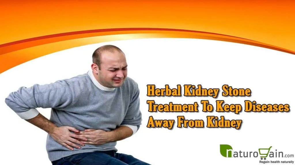 PPT Herbal Kidney Stone Treatment To Keep Diseases Away From Kidney