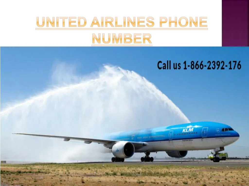 United Airlines Phone Number N 