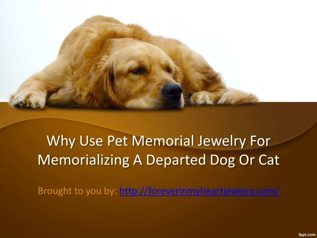 why use pet memorial jewelry for memorializing a departed dog or cat n.