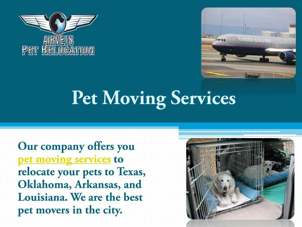 PPT - Pet Moving Services PowerPoint Presentation, free download - ID