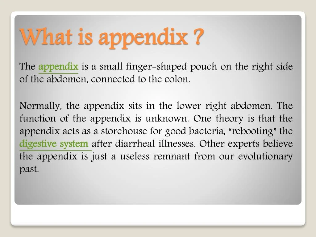 appendix presentation slide