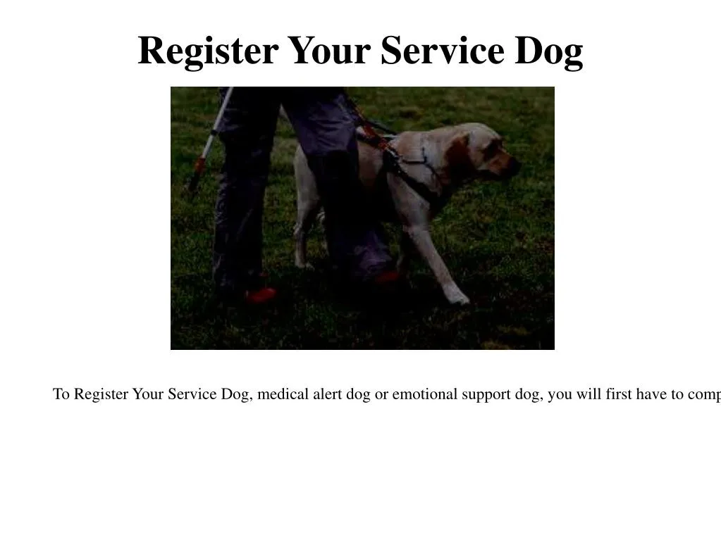 register your service dog for free