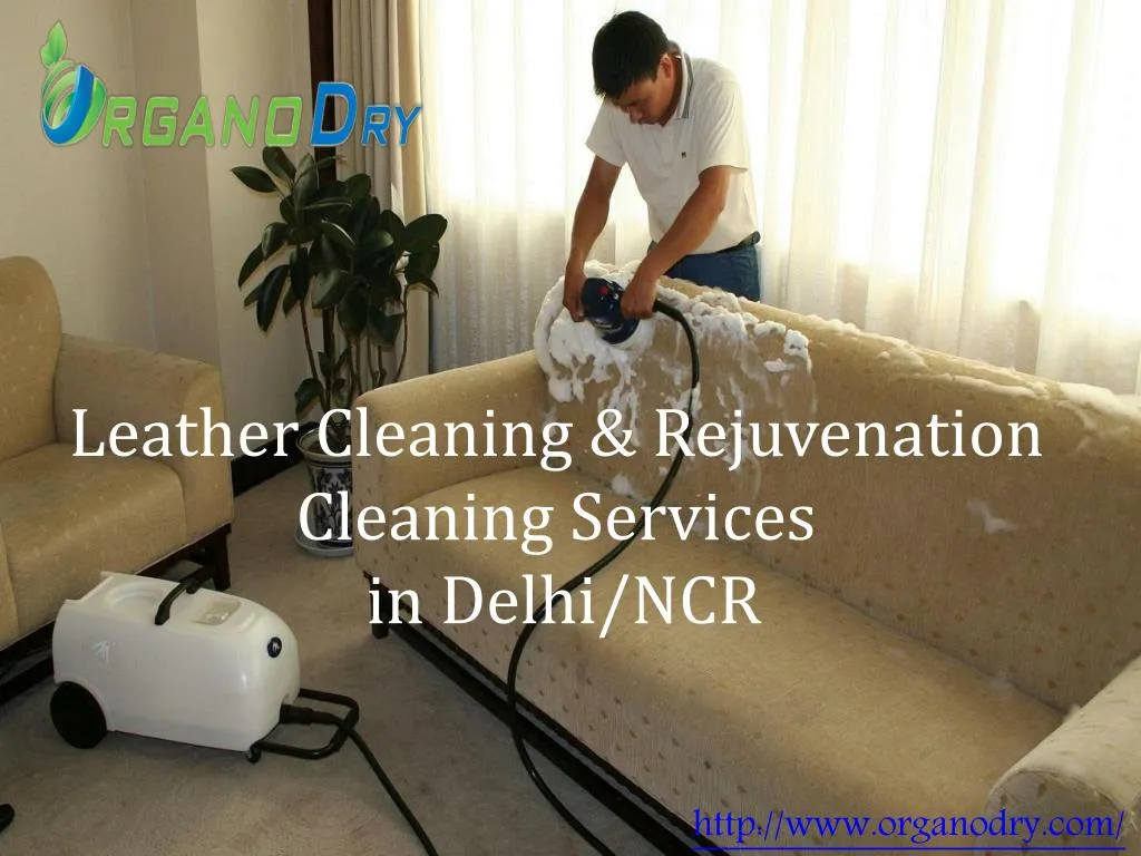 leather cleaning rejuvenation cleaning services in delhi ncr n.