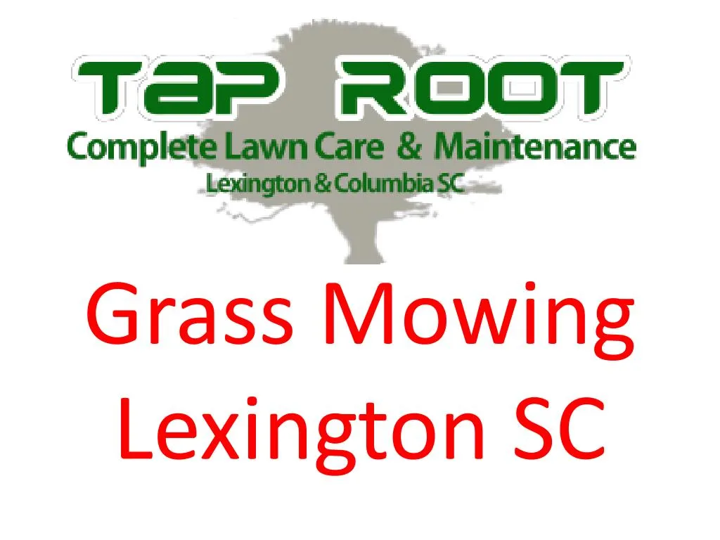 grass mowing lexington sc n.