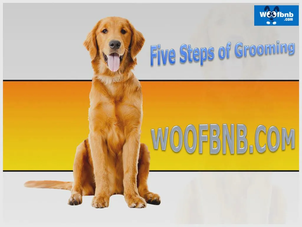 PPT Pet Grooming Services in Pune PowerPoint Presentation, free