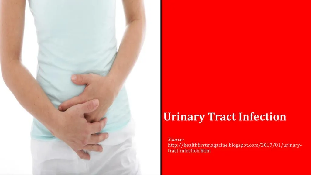 Ppt Urinary Tract Infection Powerpoint Presentation Free Download Id 7478118