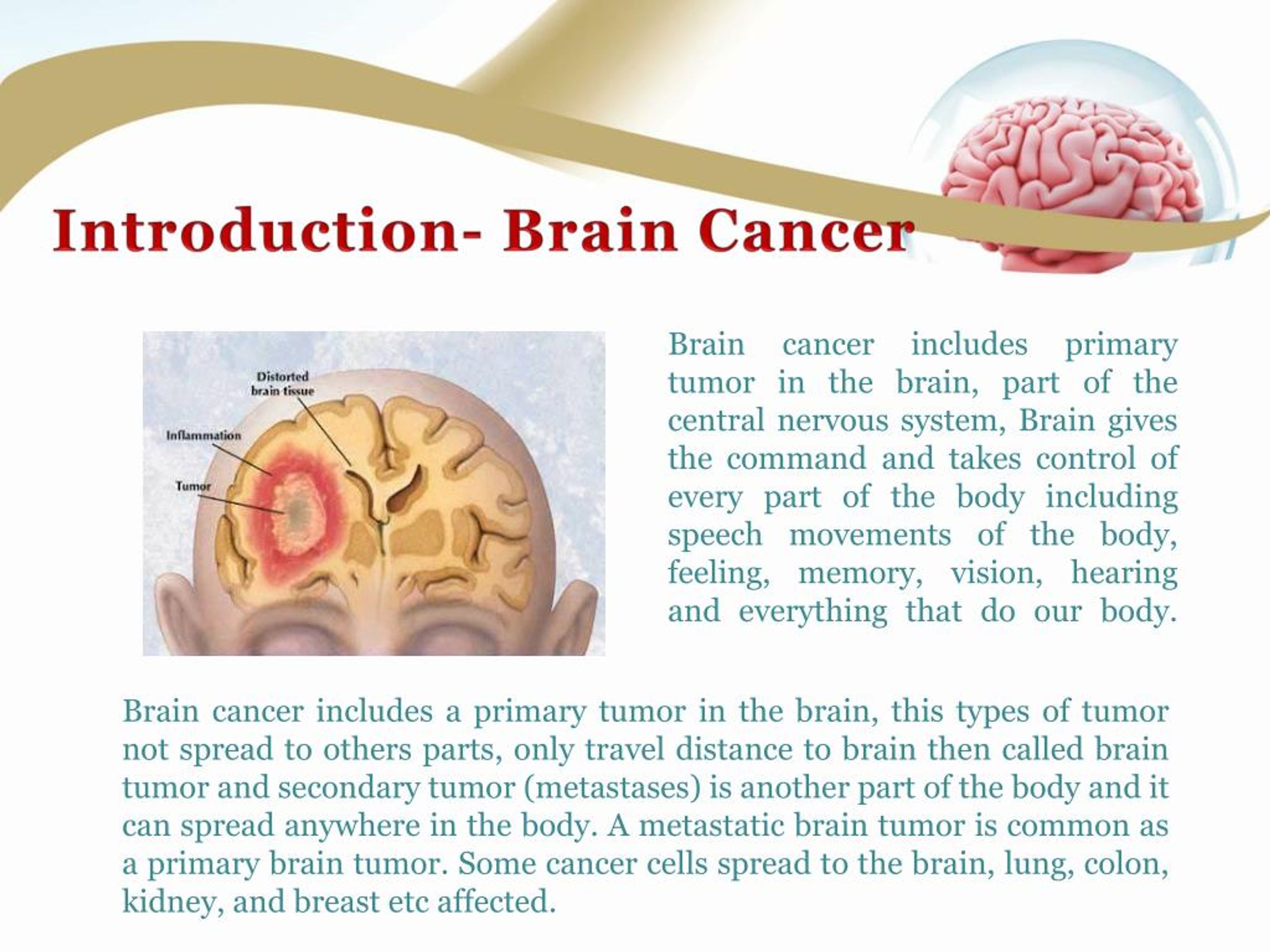 brain cancer introduction essay