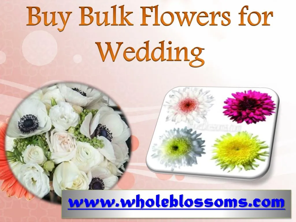 PPT Buy Bulk Flowers for Wedding PowerPoint