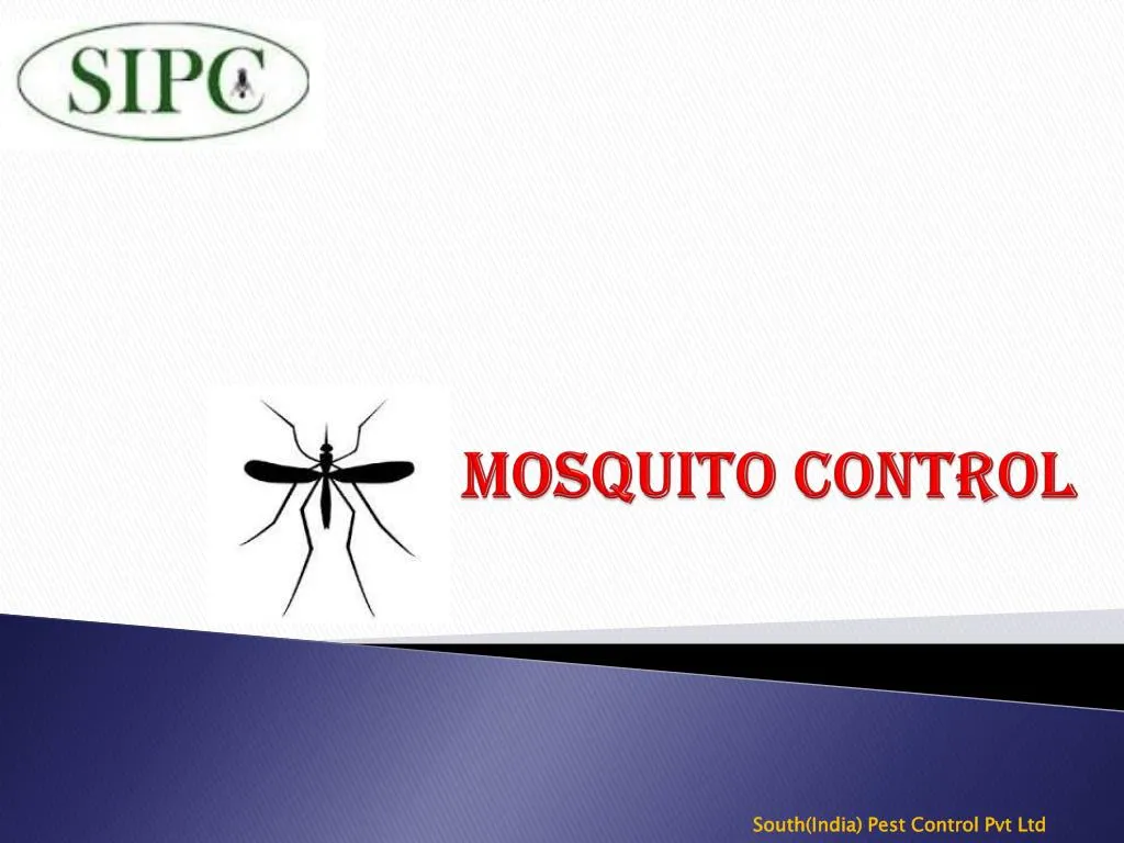 mosquito control n.