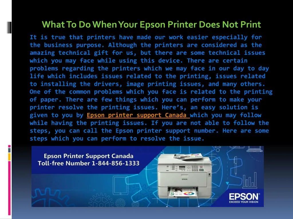 Epson Printer Does Not Print