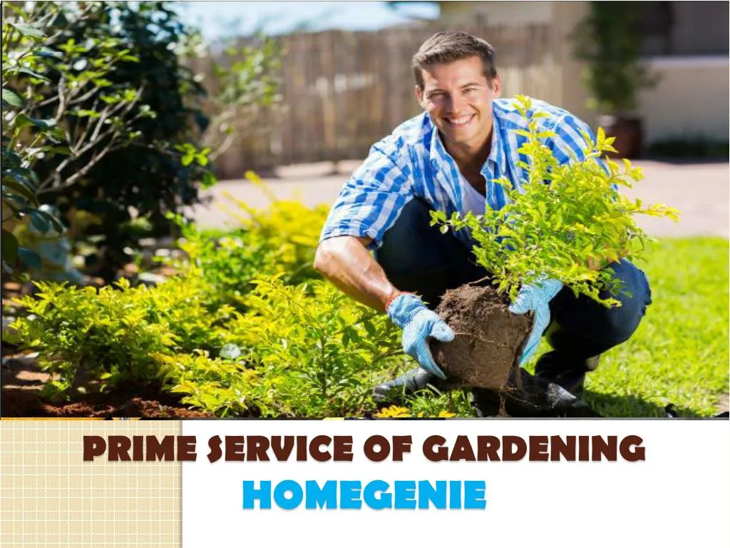 prime service of gardening homegenie n.