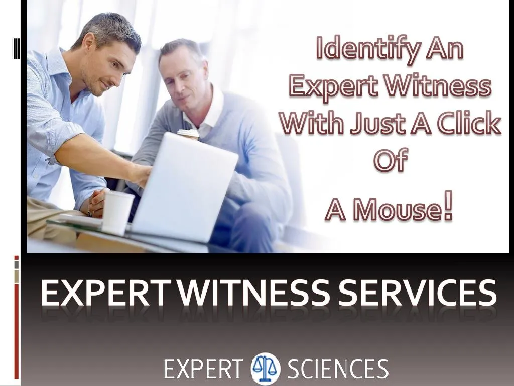 expert witness definition