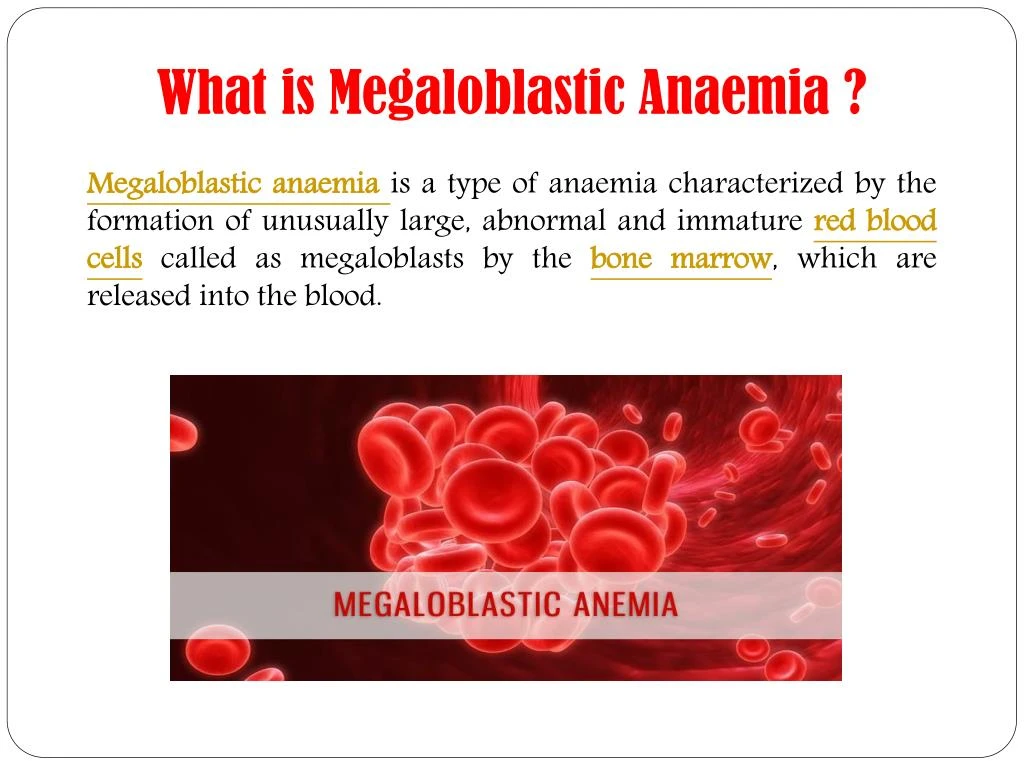 ppt-megaloblastic-anaemia-symptoms-causes-diagnosis-treatment-and