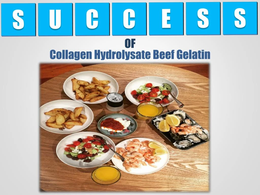 PPT Collagen Hydrolysate Beef Gelatin Protein PowerPoint Presentation