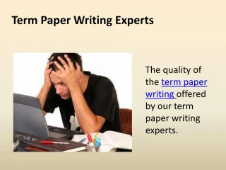 Expert term papers