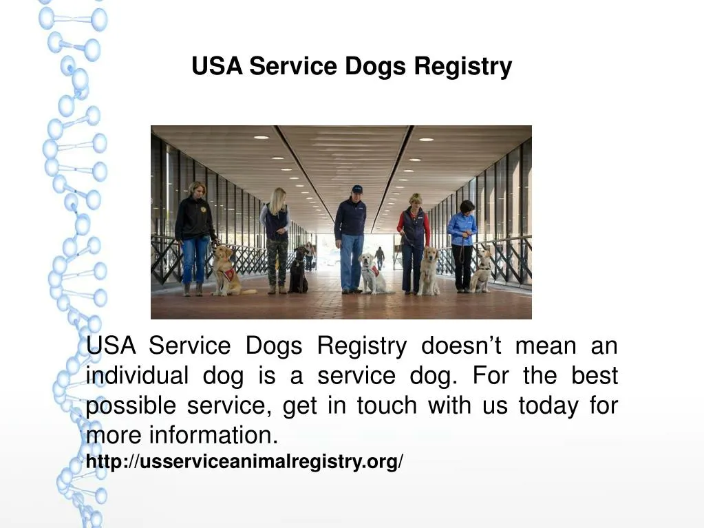 PPT USA Service Dogs Registry PowerPoint Presentation, free download