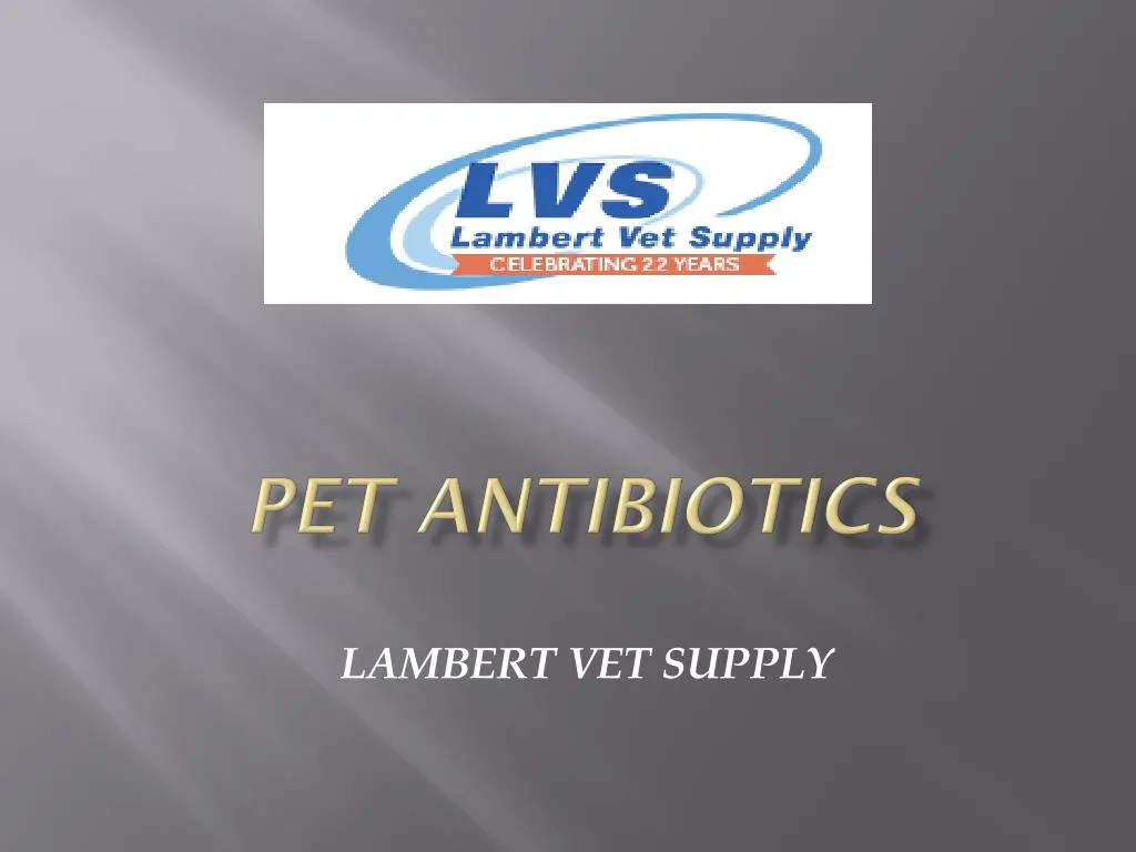 PPT Pet Antibiotics PowerPoint Presentation, free download ID7489224
