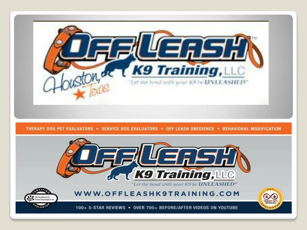 PPT - Dog Trainer Baton Rouge Louisiana | Dog Trainer Baton Rouge| Dog