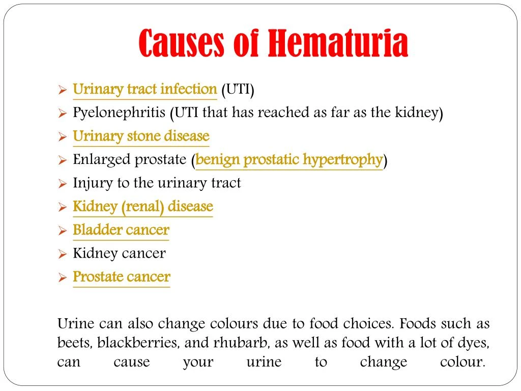 Ppt Hematuria Blood In The Urine Symptoms Causes Diagnosis And