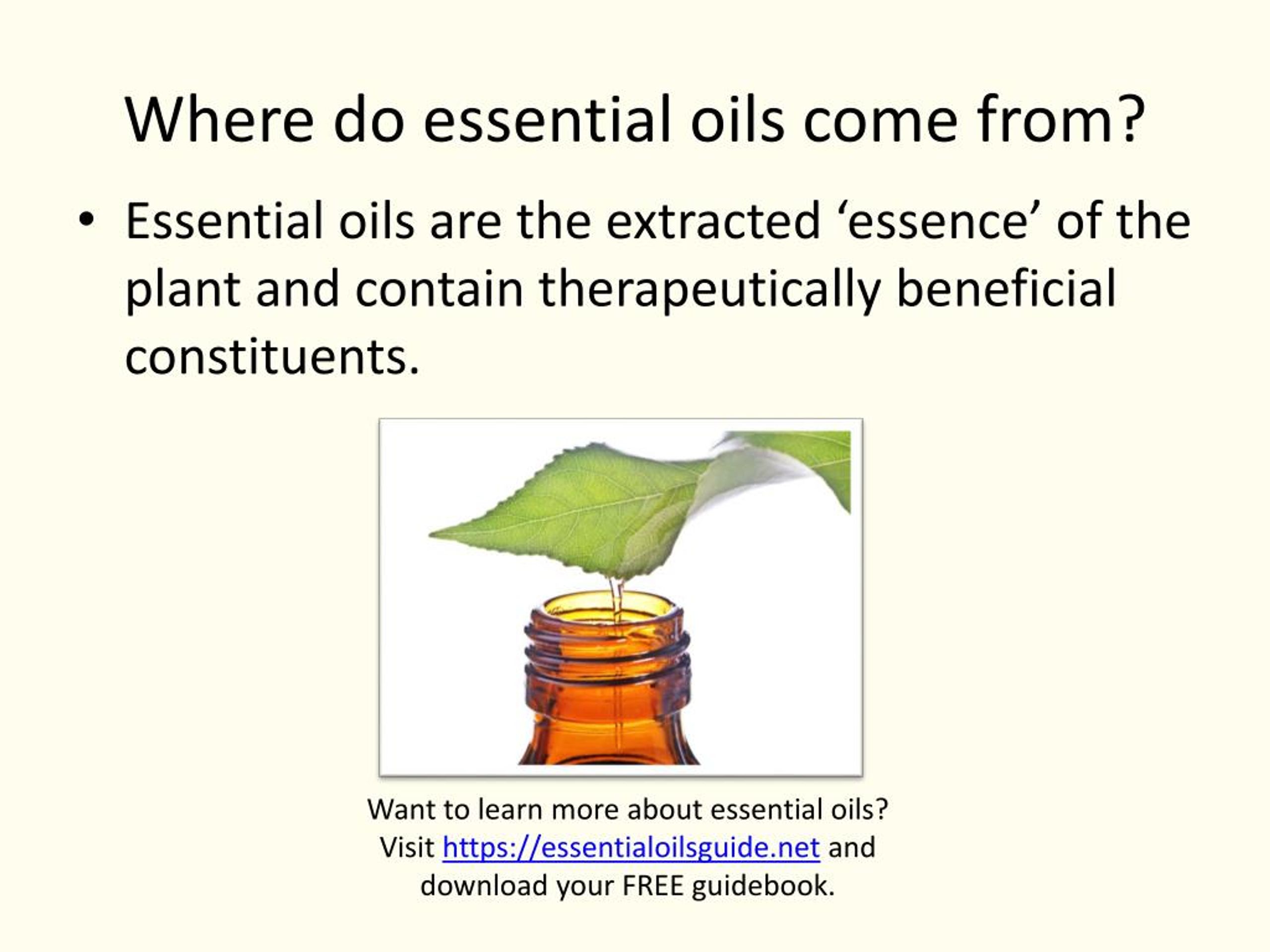 ppt-essential-oil-facts-powerpoint-presentation-free-download-id