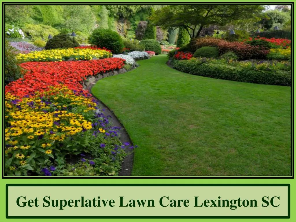 get superlative lawn care lexington sc n.