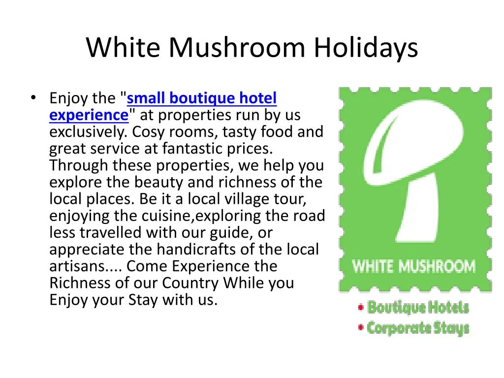 white mushroom holidays n.