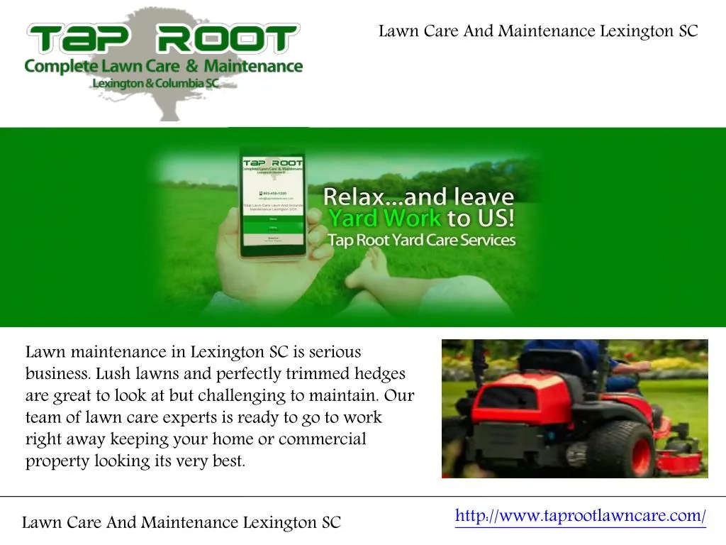 lawn care and maintenance lexington sc n.