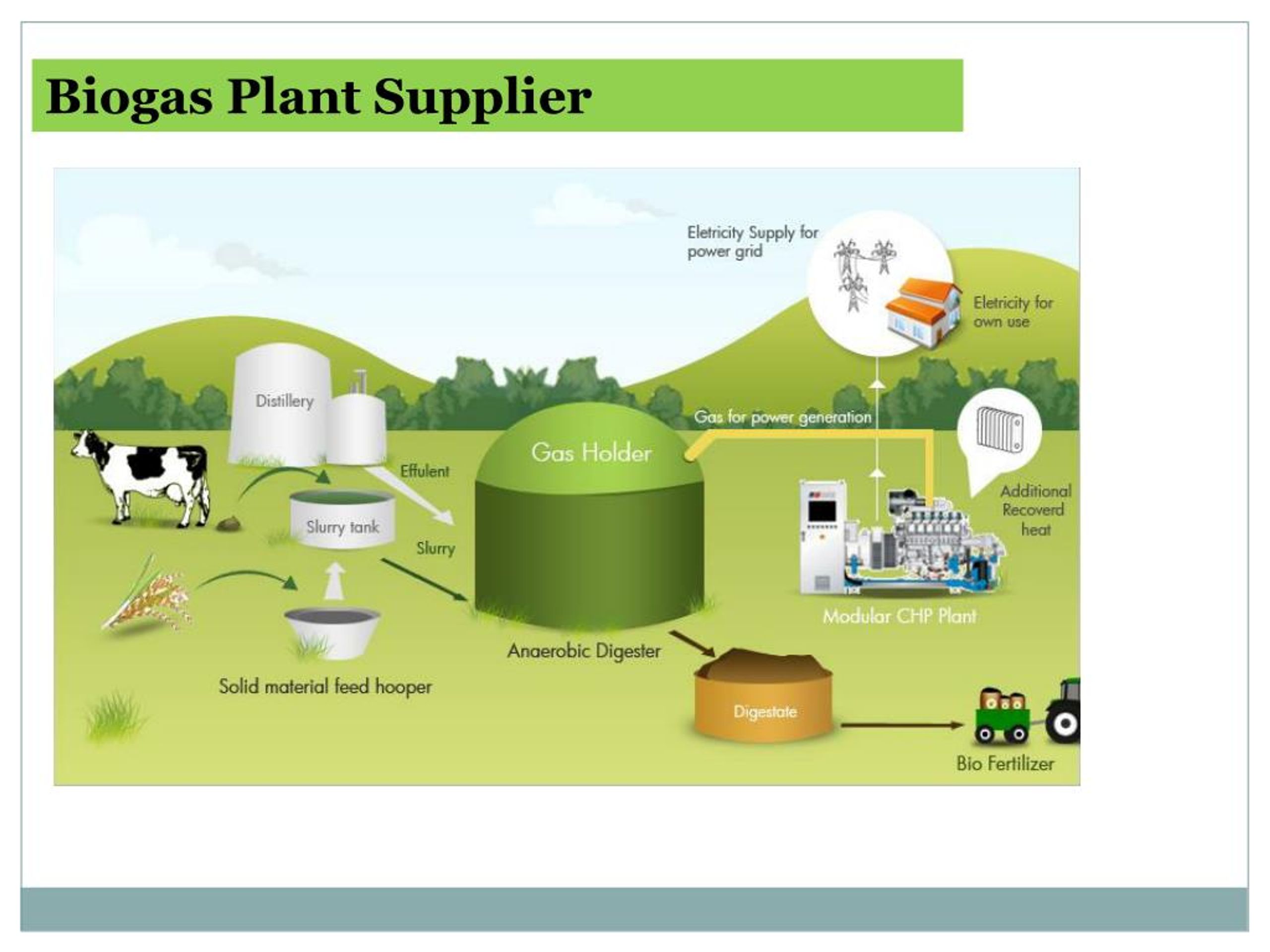 Biogas Power Generation Ppt