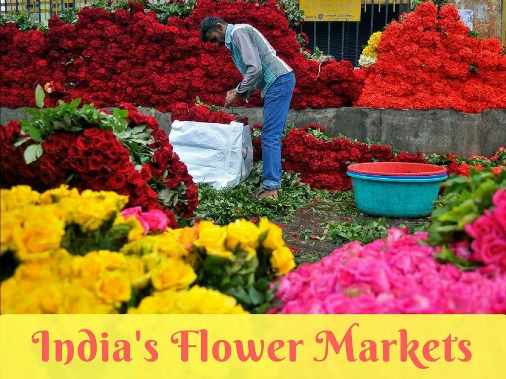 india s blossom markets n.