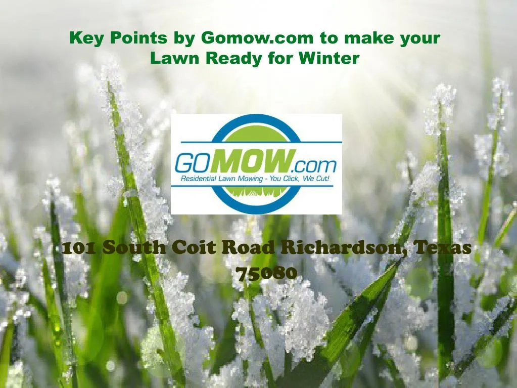 key points by gomow com to make your lawn ready n.