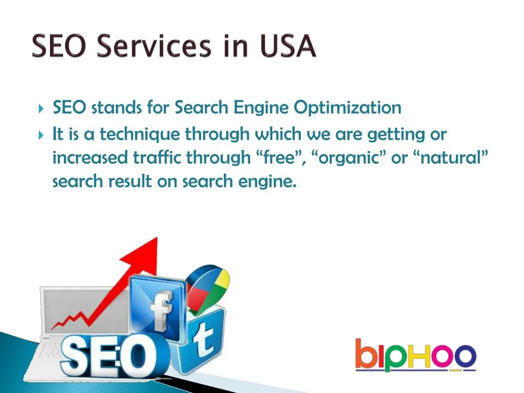 seo services in usa n.