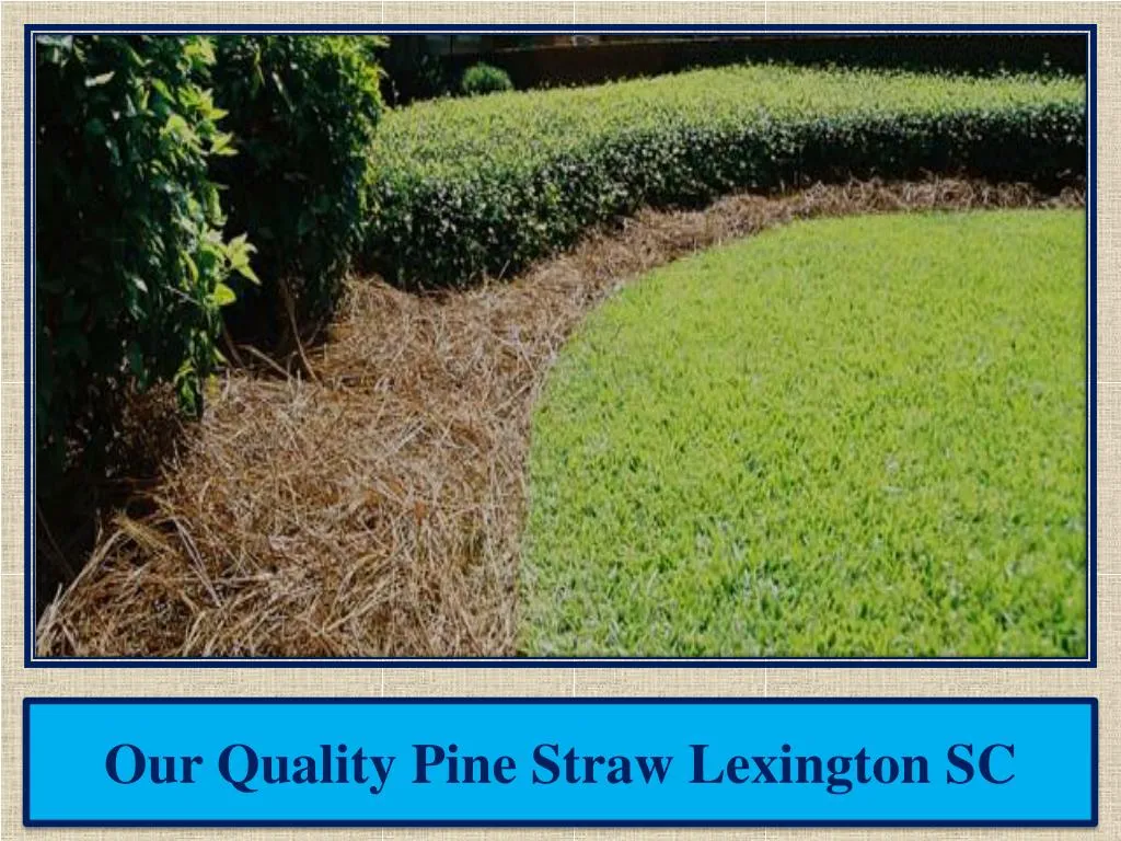 our quality pine straw lexington sc n.