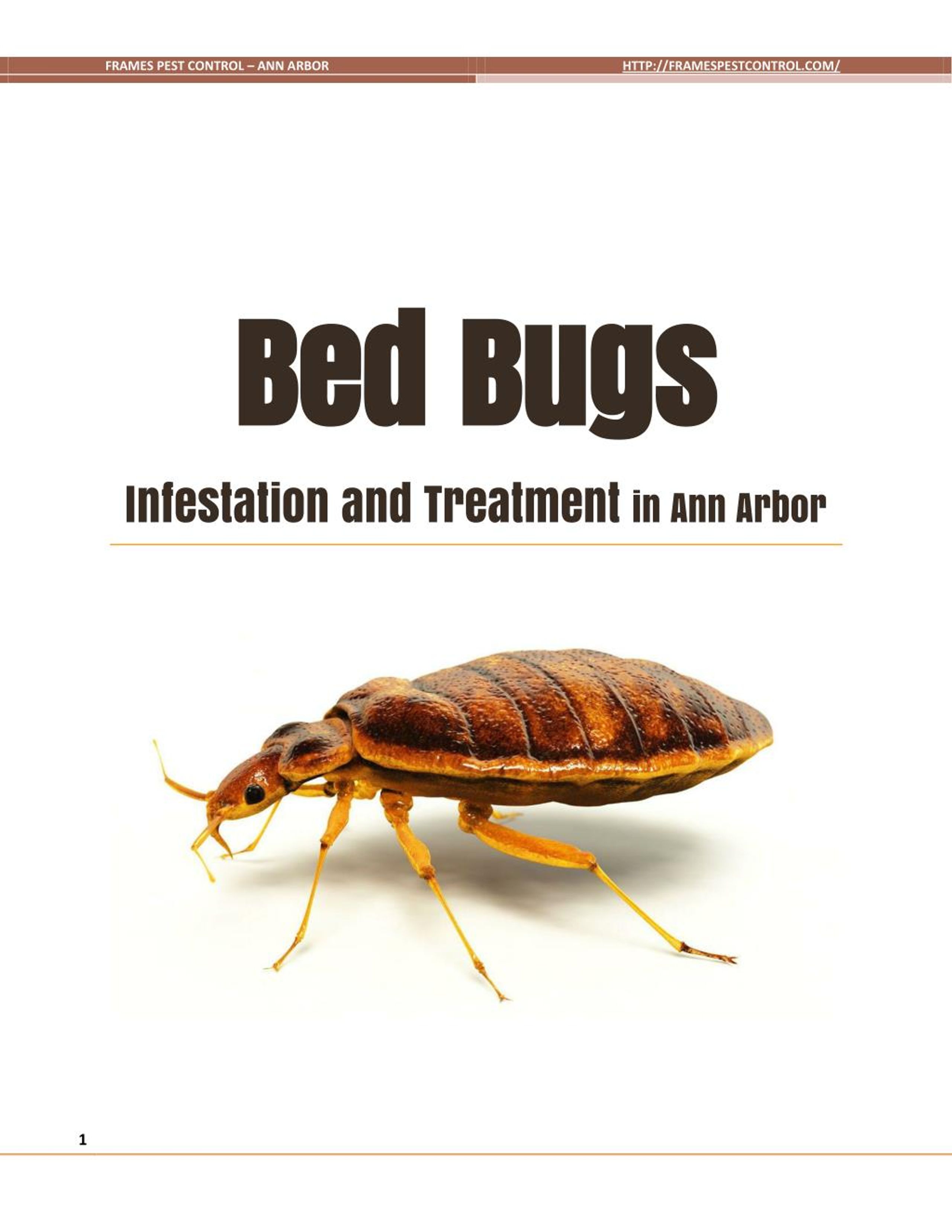 PPT Bed Bugs Infestation and Treatment in Ann Arbor PowerPoint