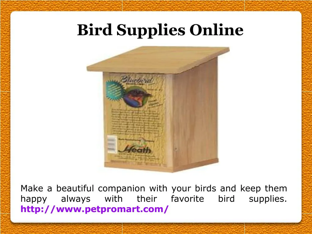 bird supplies online n.
