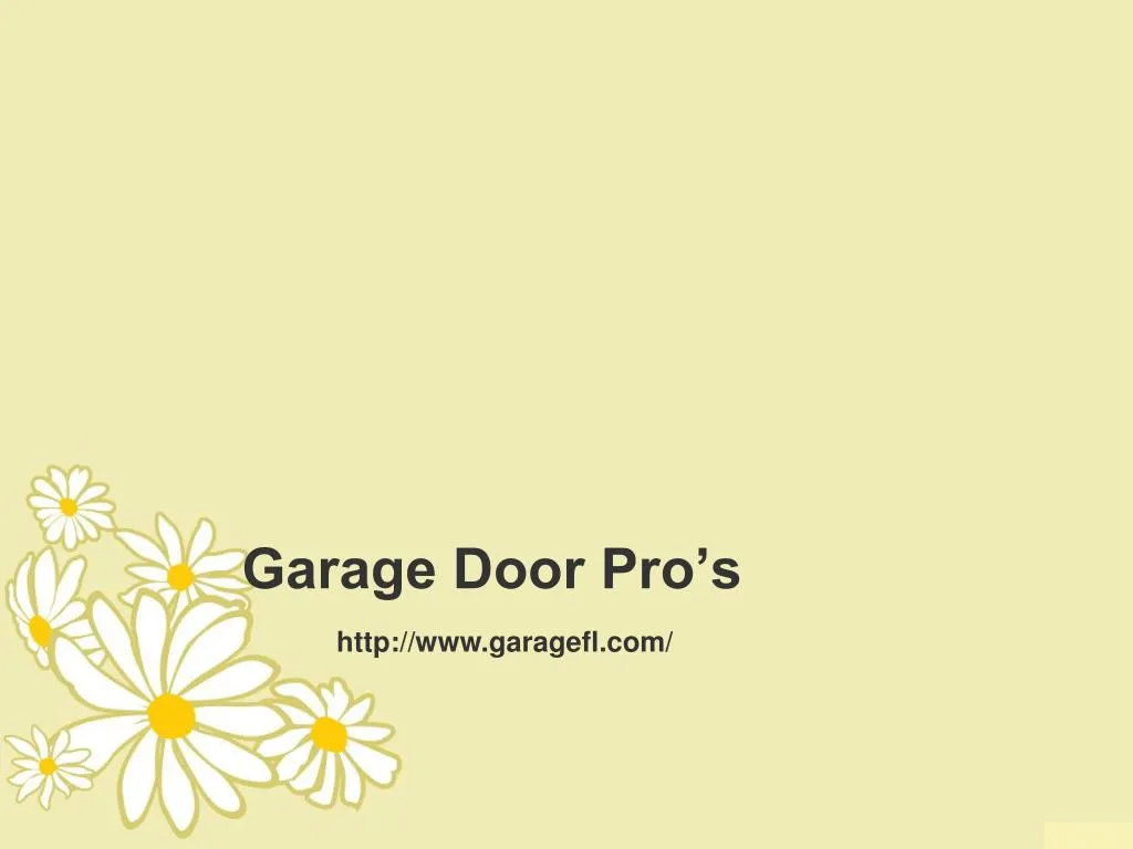 garage door pro s n.