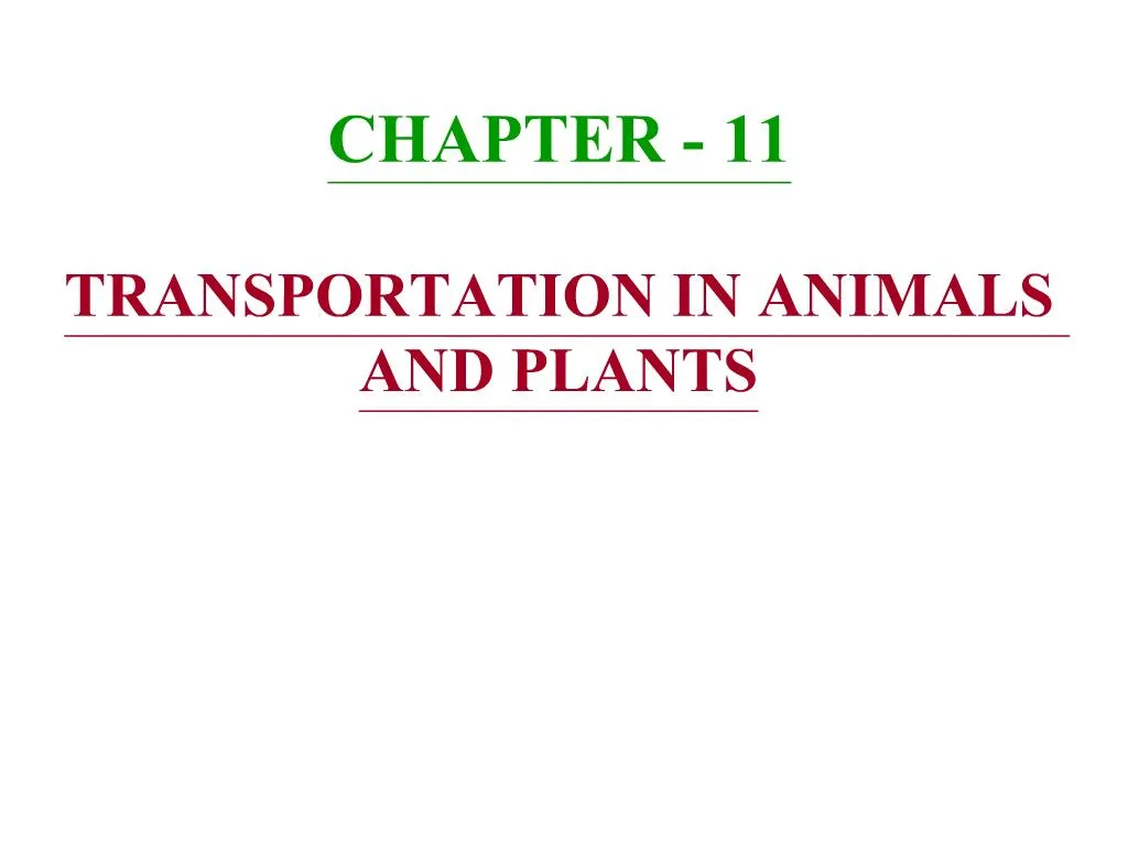 PPT - CHAPTER - 11 TRANSPORTATION IN ANIMALS AND PLANTS PowerPoint  Presentation - ID:751111