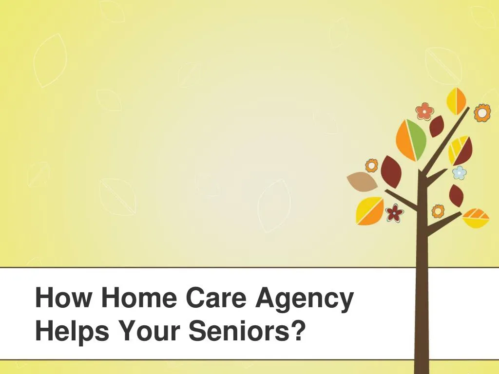 how home care agency helps your seniors n.