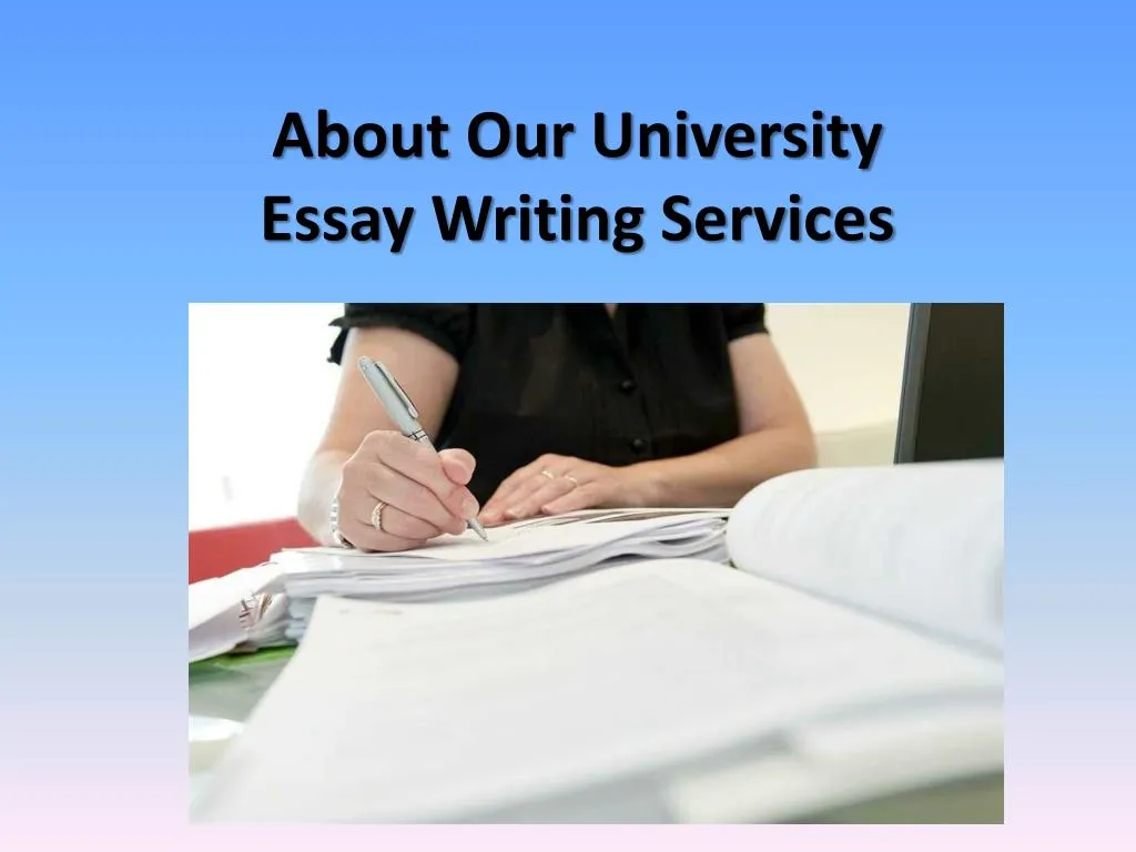 essay writer service