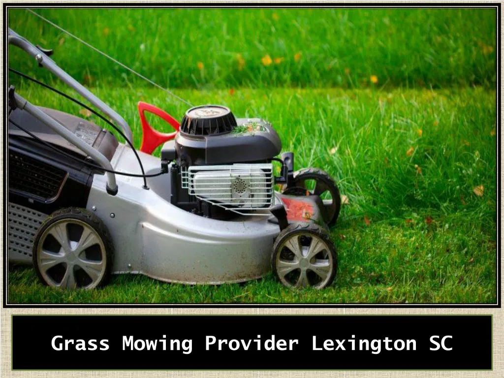 grass mowing provider lexington sc n.