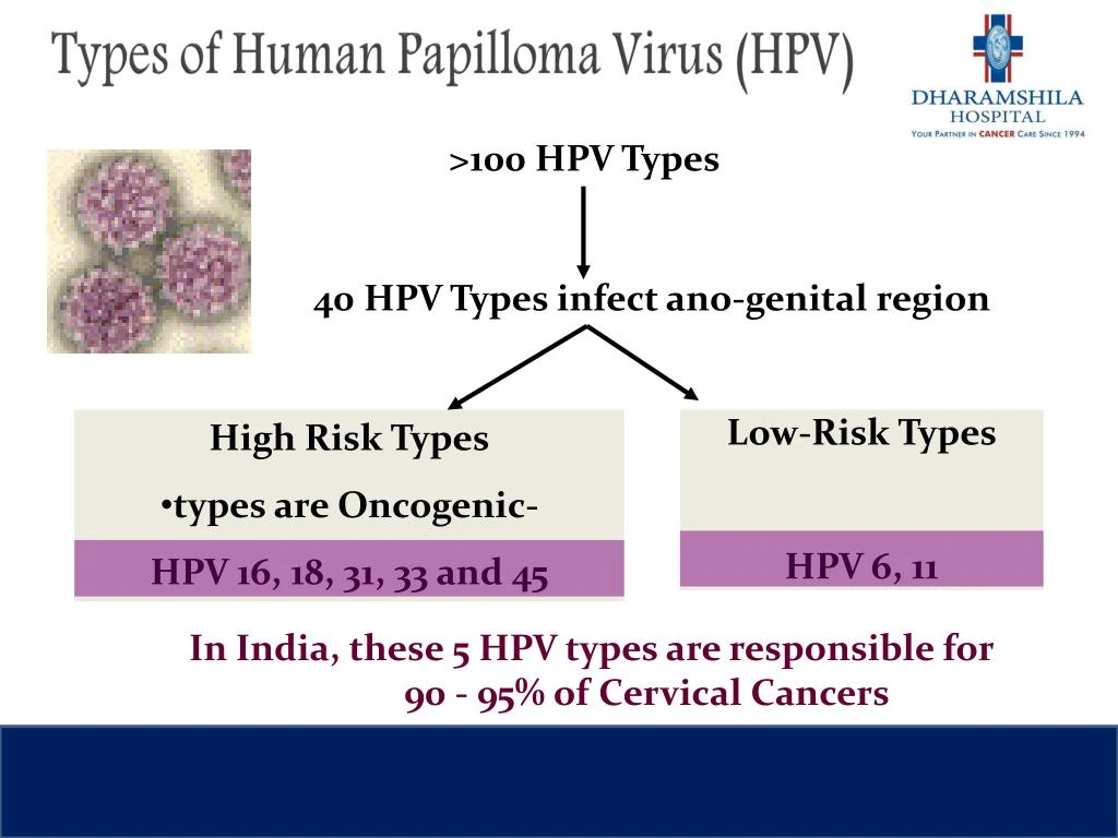 hpv 16 and 18 research papers Read hpv vaccine essays and research papers the three dose vaccine prevents four hpv types: hpv 16 and 18, which cause 70% of cervical cancers. hpv 16 and 18 research papers Read hpv vaccine essays and research papers the three dose vaccine prevents four hpv types: hpv 16 and 18, which cause 70% of cervical cancers.