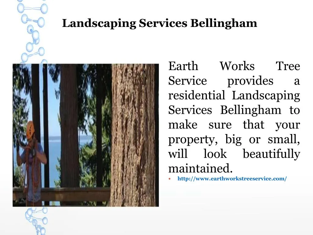 landscaping services bellingham n.