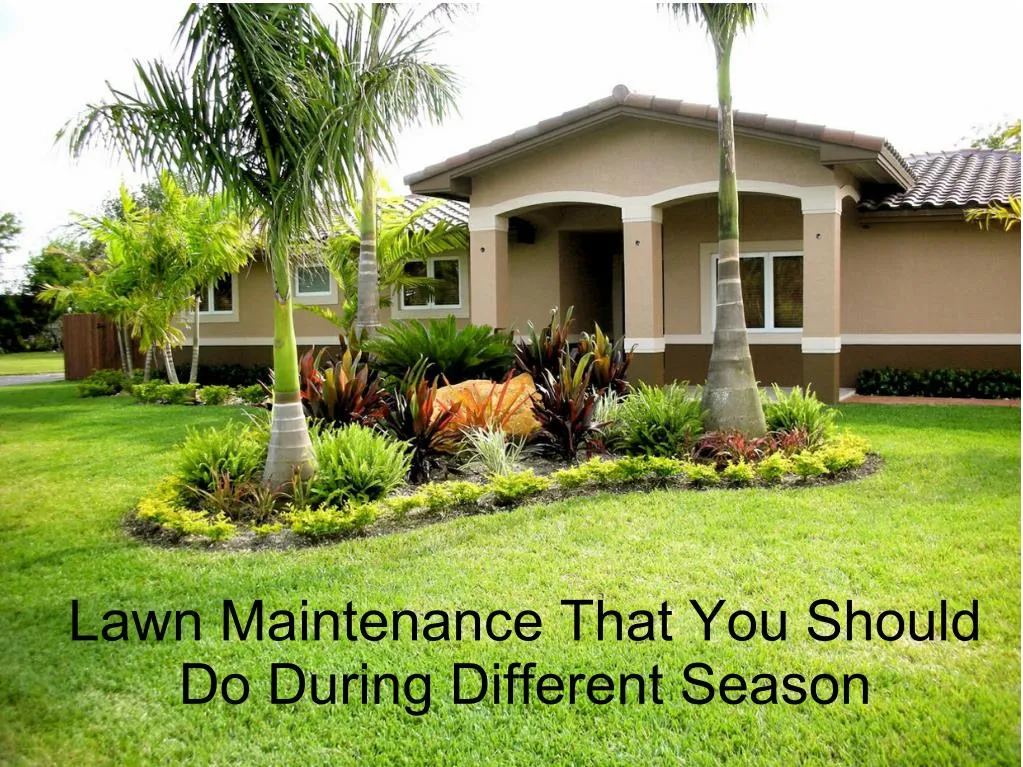 lawn maintenance that you should do during n.
