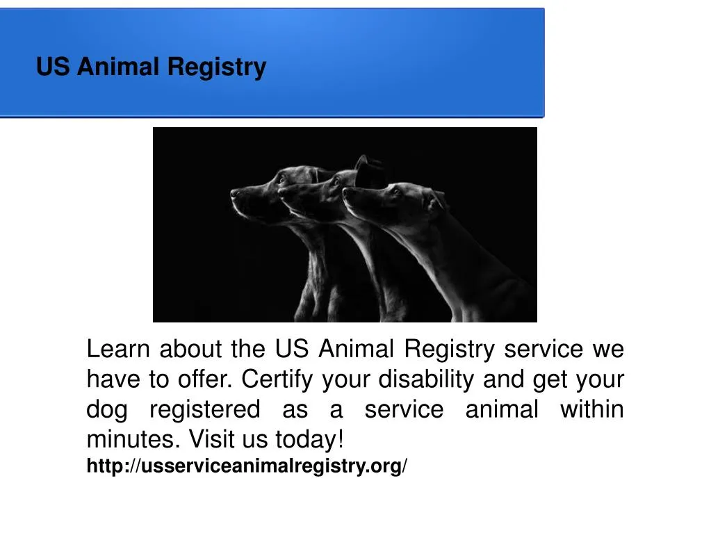 PPT US Animal Registry PowerPoint Presentation, free download ID
