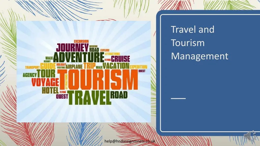 travel and tourism management n.