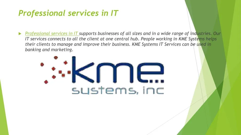 professional services in it n.