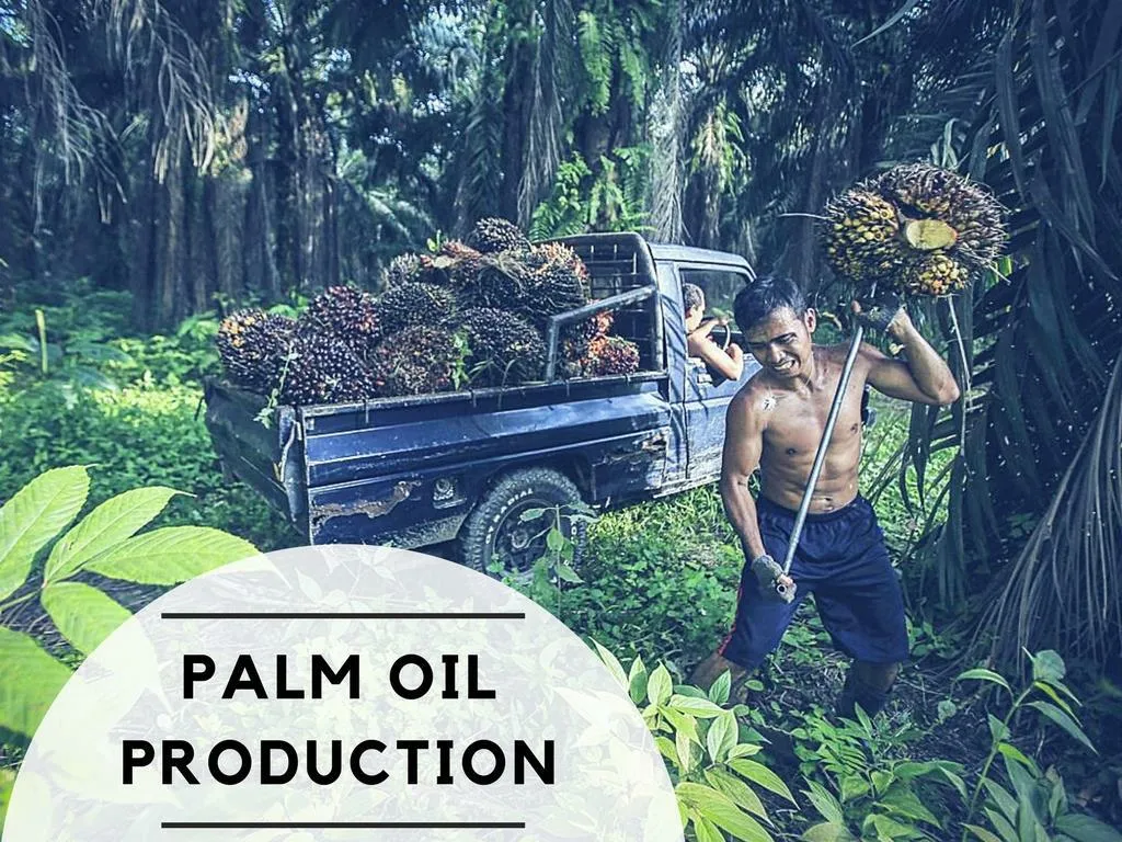 palm oil production n.