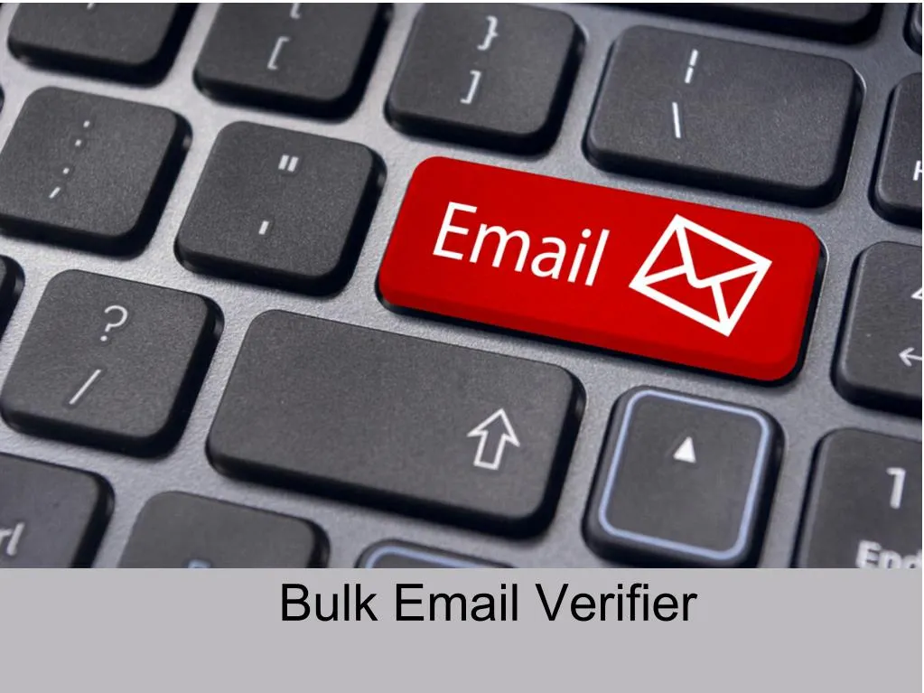 leoipath bulk email verifier